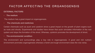 FACTOR AFFECTING THE ORGANOGENSIS
•
•
•