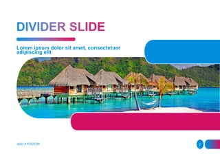 Lorem ipsum dolor sit amet, consectetuer
adipiscing elit
ADD A FOOTER 2
 