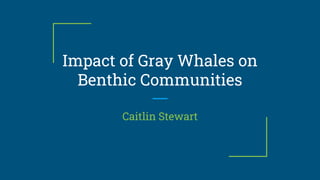 Impact of Gray Whales on
Benthic Communities
Caitlin Stewart
 