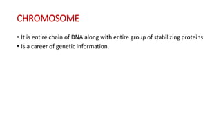 CHROMOSOME
• It is entire chain of DNA along with entire group of stabilizing proteins
• Is a career of genetic information.
 