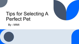 Tips for Selecting A
Perfect Pet
By - MIMI
 