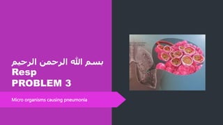 ‫الرحي‬ ‫الرحمن‬ ‫هللا‬ ‫بسم‬
‫م‬
Resp
PROBLEM 3
Micro organisms causing pneumonia
 