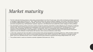 Market maturity
• The first molecular farming products, which were commercialized more than 20 years ago, were avidin and β-glucuronidase produced
in transgenic maize plants (Hood et al., 1997, 1999). Both proteins are used as research reagents, and avidin is still sold by Merck via
its subsidiary MilliporeSigma (catalog no. A8706). Since then, many diagnostic and technical proteins have been produced in plants,
and some companies (e.g. Leaf Expression Systems, Agrenvec, and Diamante) have added this protein category to their portfolios.
• The advantages of these proteins produced in plants include the authentic presentation of plant allergens for the detection of allergies
(Santoni et al., 2019) and the absence of contamination with bacterial endotoxins or animal-derived S. Schillberg and R. Finnern
Journal of Plant Physiology 258-259 (2021) 153359 3 components, which is a prerequisite when preparing growth factors and
cytokines for animal cell culture or food applications. The latter is true for stably transformed plants, but most transient expression
systems involve the infiltration of leaf tissues with bacteria, which produce endotoxins under stress.
• In this case, special care has to be taken to remove these toxins during downstream processing (Arfi et al., 2016). Another molecular
farming product already on the market is human epidermal growth factor (hEGF) produced by ORF Genetics in transgenic barley
plants, which are cultivated all year round in Icelandic greenhouses powered by geothermal energy (Magnusdottir et al., 2013).
• The purified protein is used as a bioactive cosmetic ingredient (Schouest et al., 2012).
•
 