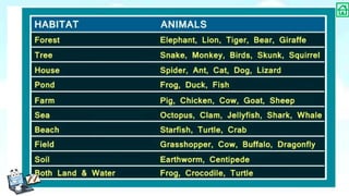 Animal Life | PPTX