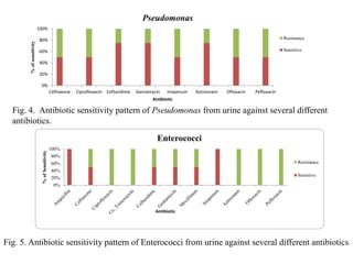 0%
20%
40%
60%
80%
100%
Ceftiaxone Ciprofloxacin Ceftazidime Gentamycin Imipenum Aztreonam Ofloxacin Pefloxacin
%
of
sensitivity
Antibiotic
Pseudomonas
Resistance
Sensitive
Fig. 4. Antibiotic sensitivity pattern of Pseudomonas from urine against several different
antibiotics.
0%
20%
40%
60%
80%
100%
%
of
Sensitivity
Antibiotic
Enterococci
Resistance
Sensitive
Fig. 5. Antibiotic sensitivity pattern of Enterococci from urine against several different antibiotics
 