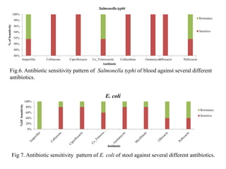 86%
88%
90%
92%
94%
96%
98%
100%
Ampicillin Ceftiaxone Ciprofloxacin Co_Trimoxazole Ceftazidime Gentamycin
Ofloxacin Pefloxacin
%
of
Sensitivity
Antibiotic
Salmonella typhi
Resistance
Sensitive
Fig.6. Antibiotic sensitivity pattern of Salmonella typhi of blood against several different
antibiotics.
0%
20%
40%
60%
80%
100%
%Of
Sensitivity
Antibiotic
E. coli
Resistance
Sensitive
Fig 7. Antibiotic sensitivity pattern of E. coli of stool against several different antibiotics.
 