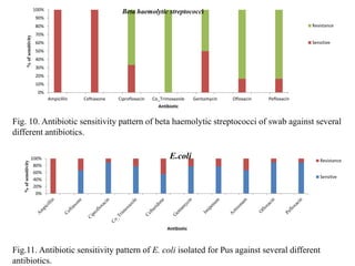 0%
10%
20%
30%
40%
50%
60%
70%
80%
90%
100%
Ampicillin Ceftiaxone Ciprofloxacin Co_Trimoxazole Gentamycin Ofloxacin Pefloxacin
%
of
sensitivity
Antibiotic
Beta haemolytic streptococci
Resistance
Sensitive
Fig. 10. Antibiotic sensitivity pattern of beta haemolytic streptococci of swab against several
different antibiotics.
0%
20%
40%
60%
80%
100%
%
of
sensitivity
Antibiotic
E.coli Resistance
Sensitve
Fig.11. Antibiotic sensitivity pattern of E. coli isolated for Pus against several different
antibiotics.
 