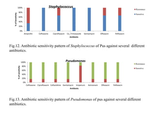 0%
20%
40%
60%
80%
100%
Ampicillin Ceftiaxone Ciprofloxacin Co_Trimoxazole Gentamycin Ofloxacin Pefloxacin
%
of
Sensitivity
Antibiotic
Staphylococcus
Resistance
Sensitive
Fig.12. Antibiotic sensitivity pattern of Staphylococcus of Pus against several different
antibiotics.
0%
20%
40%
60%
80%
100%
Ceftiaxone Ciprofloxacin Ceftazidime Gentamycin Imipenum Aztreonam Ofloxacin Pefloxacin
%
of
sensitivity
Antibiotic
Pseudomonas
Resistance
Sensitive
Fig.13. Antibiotic sensitivity pattern of Pseudomonas of pus against several different
antibiotics.
 