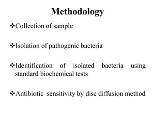 Methodology
Collection of sample
Isolation of pathogenic bacteria
Identification of isolated bacteria using
standard biochemical tests
Antibiotic sensitivity by disc diffusion method
 