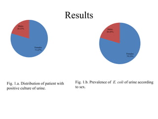 Results
Females
71.67%
Males
28.33%
Fig. 1.a. Distribution of patient with
positive culture of urine.
Females
79.55%
Males
20.45%
Fig. 1.b. Prevalence of E. coli of urine according
to sex.
 