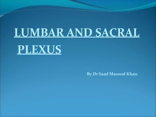 LUMBAR AND SACRAL
PLEXUS
By Dr Saad Masood Khan
 