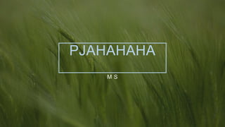 PJAHAHAHA
M S
 