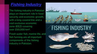 Fishing Industry
• The fishing industry in Pakistan
plays an important role in food
security and economic growth,
with a long coastal line and a
vast exclusive economic
zone (EEZ) covering
over 230,000 km².
• Fresh water fish, marine life, and
fish farming are all important
components of the fishing
industry in Pakistan.
 