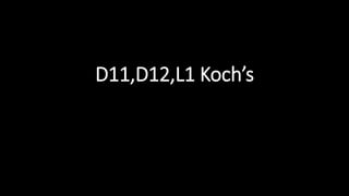 D11,D12,L1 Koch’s
 