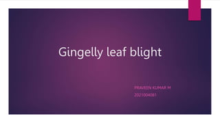 Gingelly leaf blight
PRAVEEN KUMAR M
2021004081
 