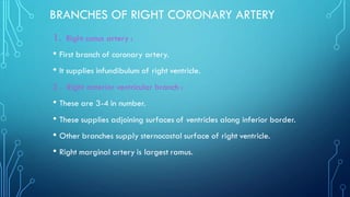 Marginal Ramus Anatomy of Human Heart along with internal and external features. | PDF