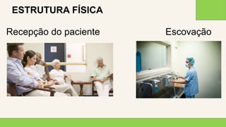 2 0 X X
4
ESTRUTURA FÍSICA
Recepção do paciente Escovação
 