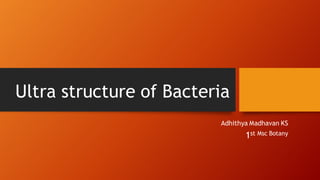 Ultra structure of Bacteria
Adhithya Madhavan KS
1st Msc Botany
 