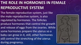 THE ROLE IN HORMONES IN FEMALE
REPRODUCTIVE SYSTEM
The female reproductive system, just like
the male reproductive system, is also
regulated by hormones. The follicles
produce hormones that control the growth
and release of eggs from the ovaries. While
some hormones prepare the uterus so a
baby can grow in it, still, other hormones
still control the stretching of the uterus
during pregnancy.
 