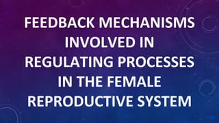 FEEDBACK MECHANISMS
INVOLVED IN
REGULATING PROCESSES
IN THE FEMALE
REPRODUCTIVE SYSTEM
 