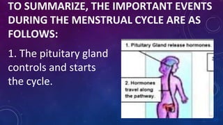 TO SUMMARIZE, THE IMPORTANT EVENTS
DURING THE MENSTRUAL CYCLE ARE AS
FOLLOWS:
1. The pituitary gland
controls and starts
the cycle.
 