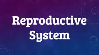 Reproductive
System
 