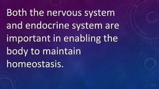 Both the nervous system
and endocrine system are
important in enabling the
body to maintain
homeostasis.
 