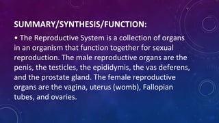 SUMMARY/SYNTHESIS/FUNCTION:
• The Reproductive System is a collection of organs
in an organism that function together for sexual
reproduction. The male reproductive organs are the
penis, the testicles, the epididymis, the vas deferens,
and the prostate gland. The female reproductive
organs are the vagina, uterus (womb), Fallopian
tubes, and ovaries.
 