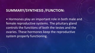 SUMMARY/SYNTHESIS /FUNCTION:
• Hormones play an important role in both male and
female reproductive systems. The pituitary gland
controls the functions of both the testes and the
ovaries. These hormones keep the reproductive
system properly functioning.
 
