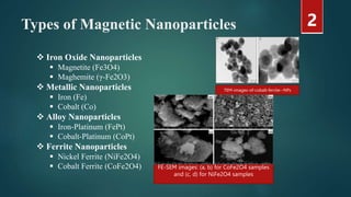 Green Synthesis of Magnetic Nanoparticles and Their Biological ...