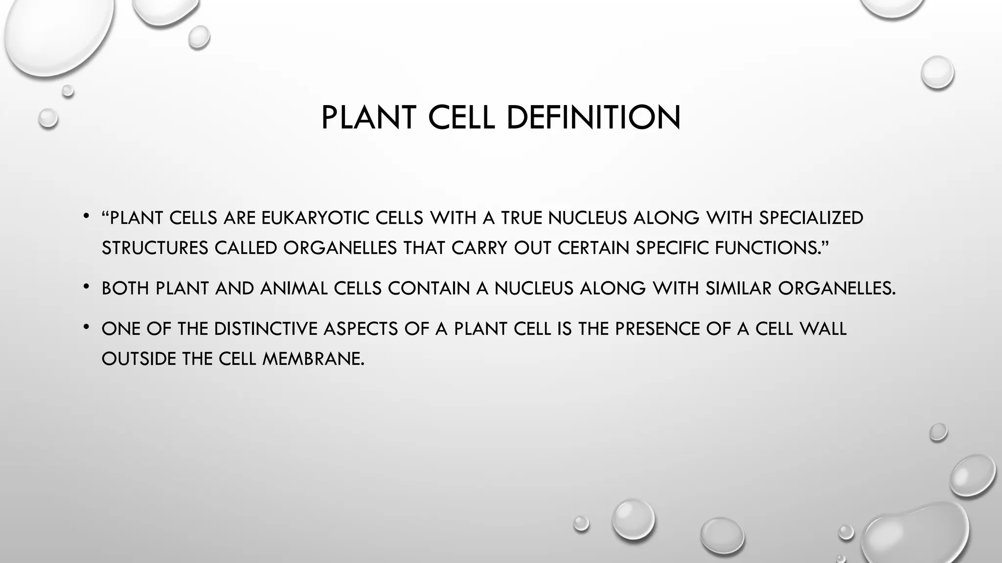 Presentation Plant Cells Definition, Structure | PPT