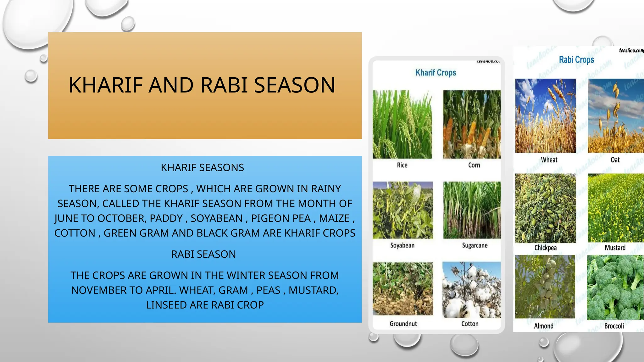 improvement in food resources class 9 ppt | PPTX