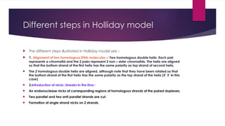 Presentation.pptx of DNA recombination in Eukaryotes, complete case ...