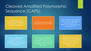 Molecular Marker - types and it's application | PPTX