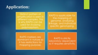 Molecular Marker - types and it's application | PPTX