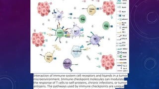 Immune checkpoints and their inhibition in cancer | PPTX