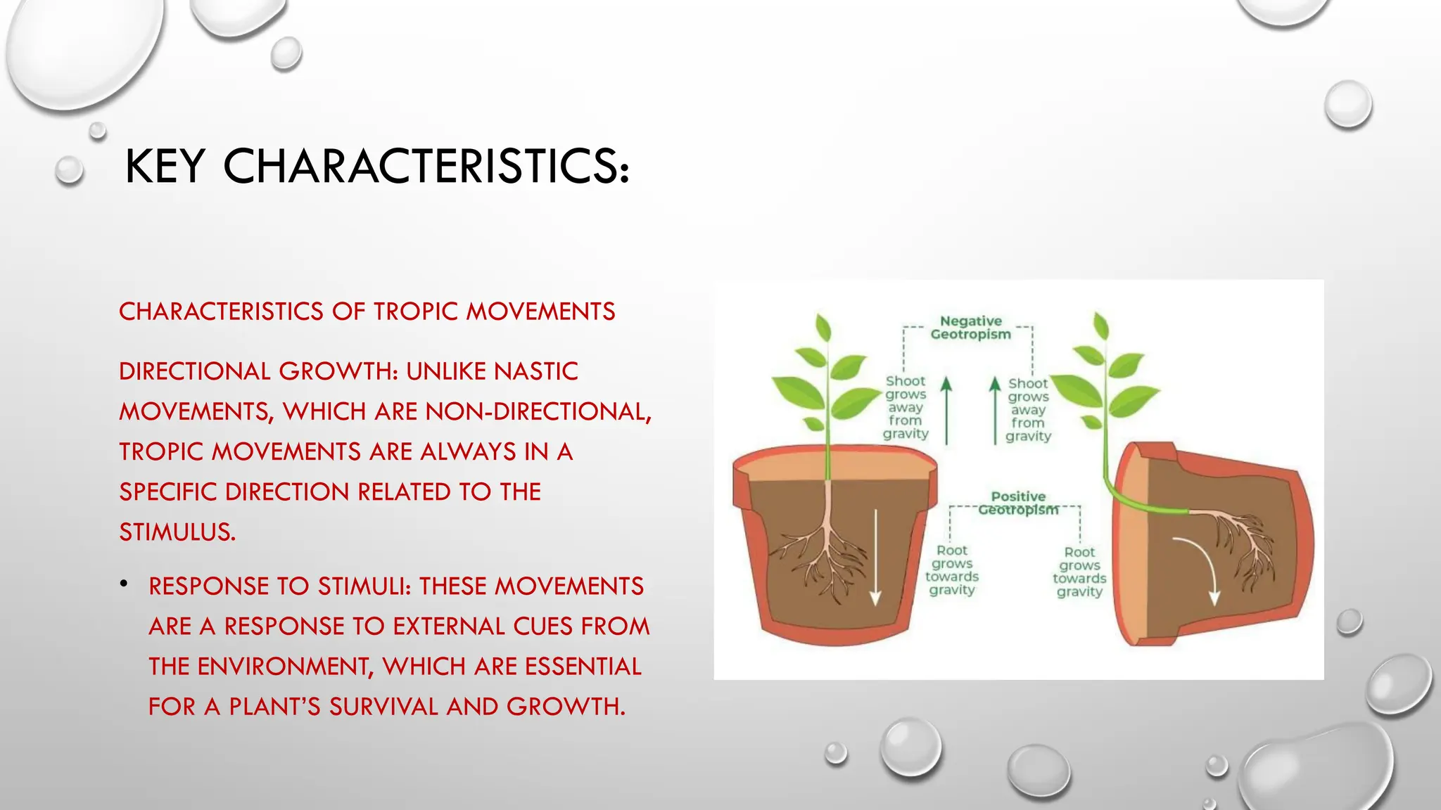 KEY CHARACTERISTICS:
CHARACTERISTICS OF TROPIC MOVEMENTS
DIRECTIONAL GROWTH: UNLIKE NASTIC
MOVEMENTS, WHICH ARE NON-DIRECTIONAL,
TROPIC MOVEMENTS ARE ALWAYS IN A
SPECIFIC DIRECTION RELATED TO THE
STIMULUS.
• RESPONSE TO STIMULI: THESE MOVEMENTS
ARE A RESPONSE TO EXTERNAL CUES FROM
THE ENVIRONMENT, WHICH ARE ESSENTIAL
FOR A PLANT’S SURVIVAL AND GROWTH.
 
