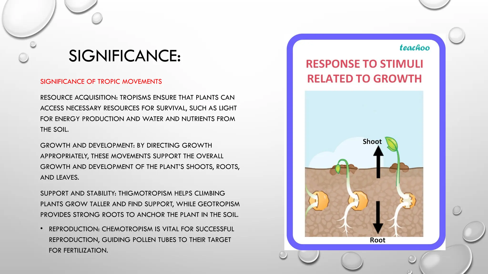 SIGNIFICANCE:
SIGNIFICANCE OF TROPIC MOVEMENTS
RESOURCE ACQUISITION: TROPISMS ENSURE THAT PLANTS CAN
ACCESS NECESSARY RESOURCES FOR SURVIVAL, SUCH AS LIGHT
FOR ENERGY PRODUCTION AND WATER AND NUTRIENTS FROM
THE SOIL.
GROWTH AND DEVELOPMENT: BY DIRECTING GROWTH
APPROPRIATELY, THESE MOVEMENTS SUPPORT THE OVERALL
GROWTH AND DEVELOPMENT OF THE PLANT’S SHOOTS, ROOTS,
AND LEAVES.
SUPPORT AND STABILITY: THIGMOTROPISM HELPS CLIMBING
PLANTS GROW TALLER AND FIND SUPPORT, WHILE GEOTROPISM
PROVIDES STRONG ROOTS TO ANCHOR THE PLANT IN THE SOIL.
• REPRODUCTION: CHEMOTROPISM IS VITAL FOR SUCCESSFUL
REPRODUCTION, GUIDING POLLEN TUBES TO THEIR TARGET
FOR FERTILIZATION.
 