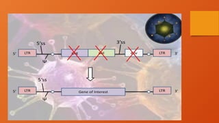 Transgenic Animal Technology (Animal biotechnology) | PPTX
