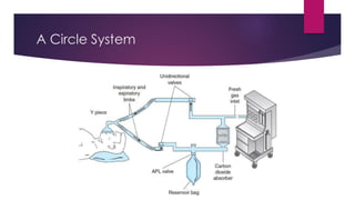 Breathing circuits and circle system for a anesthesized patient | PDF