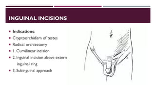 Urological Incisions Complete Overview Presentation | PDF