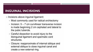 Urological Incisions Complete Overview Presentation | PDF