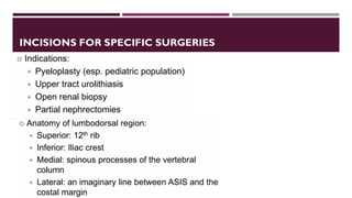 Urological Incisions Complete Overview Presentation | PDF
