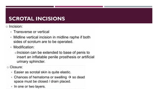 Circumcoronal Incision Urological Incisions Complete Overview Presentation | PDF