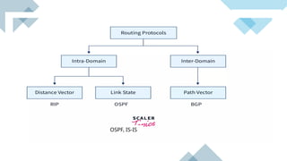 Distance Vector Routing protocol in computer networks | PPTX