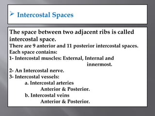 Two Adject Ribs Thoracis cavity and it's types Presentation.pptx