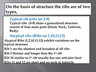 Thoracis cavity and it's types Presentation.pptx