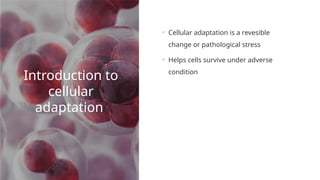 presentation.pptx cellular respiration present | PPTX