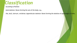 Detailed Classification of the Human Skeleton by Position and Function ...