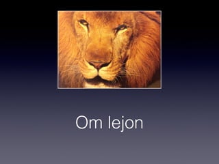 Om lejon

 